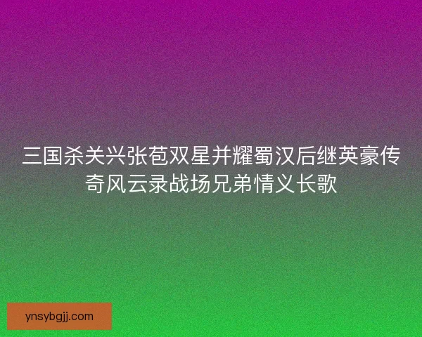 三国杀关兴张苞双星并耀蜀汉后继英豪传奇风云录战场兄弟情义长歌