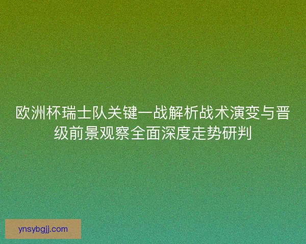 欧洲杯瑞士队关键一战解析战术演变与晋级前景观察全面深度走势研判